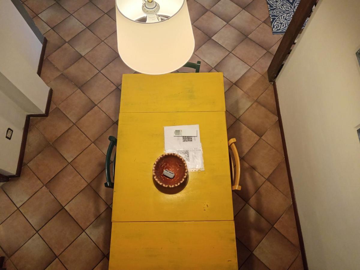 Maioliche Cozy Apartment Пиза Екстериор снимка